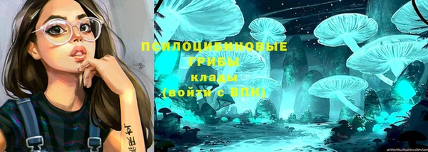 герыч Инсар