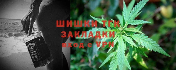 mdpv Инта